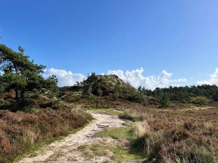 Ferienhaus für 12 Personen, mit Pool und Sauna sowie Terrasse, mit Haustier auf Rømø - 4