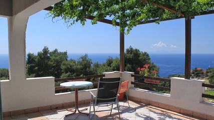 Studio für 2 Personen, mit Terrasse, mit Haustier auf Hvar