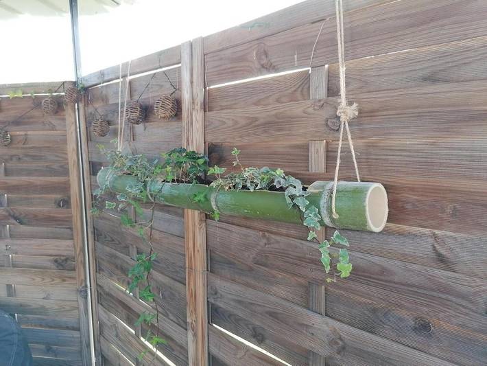 Gîte pour 3 personnes, avec vue et jardin, animaux acceptés à Massillargues-Attuech - 3