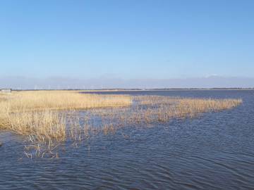 Ferieudlejning til 7 Personer i Sønder Nissum, Ulfborg, Billede 4