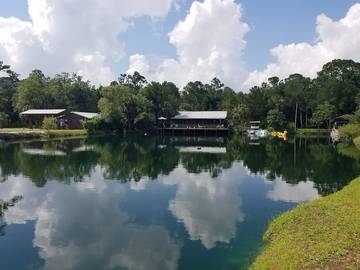 Cabin for 14 Guests in Steinhatchee, Taylor County, Picture 3