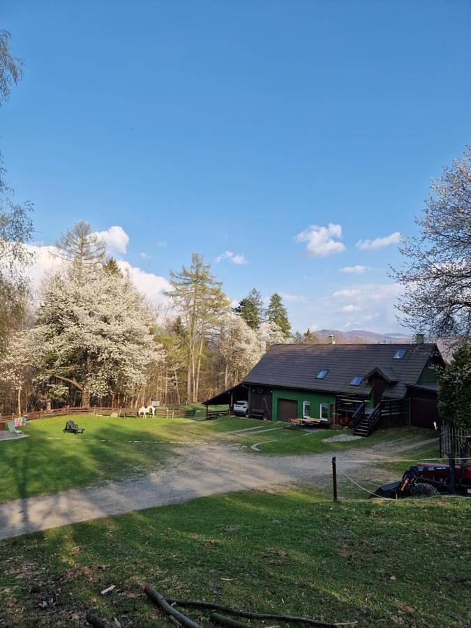 Cały apartament, Apartament Buczyna in Brenna, Karpaty (Polska)