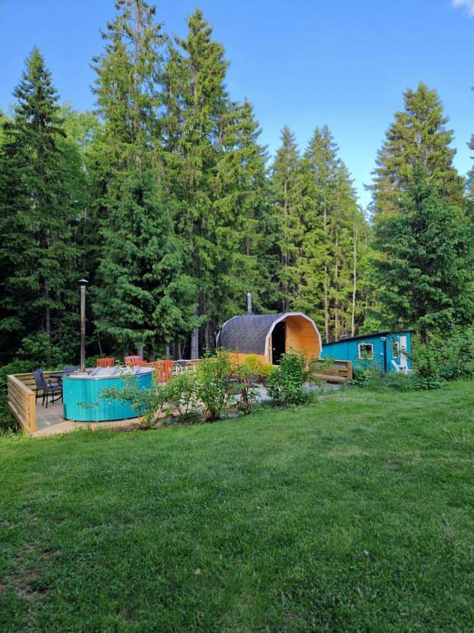 Ferienhaus für 6 Personen, mit Sauna und Garten sowie Ausblick in Flen - 4