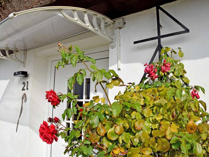 Ferienwohnung für 2 Personen, mit Terrasse und Garten auf Hiddensee - 4