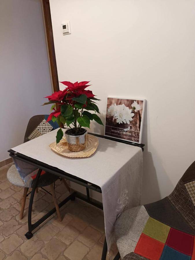 Chambre d’hôte pour 2 personnes, avec vue et terrasse à Tour-en-Sologne - 4