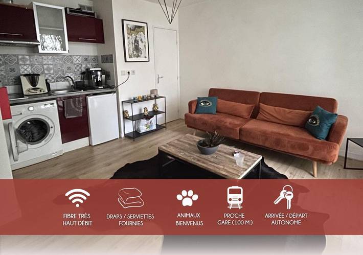 Gîte pour 4 personnes, avec terrasse, animaux acceptés dans Gare De Tours - 2