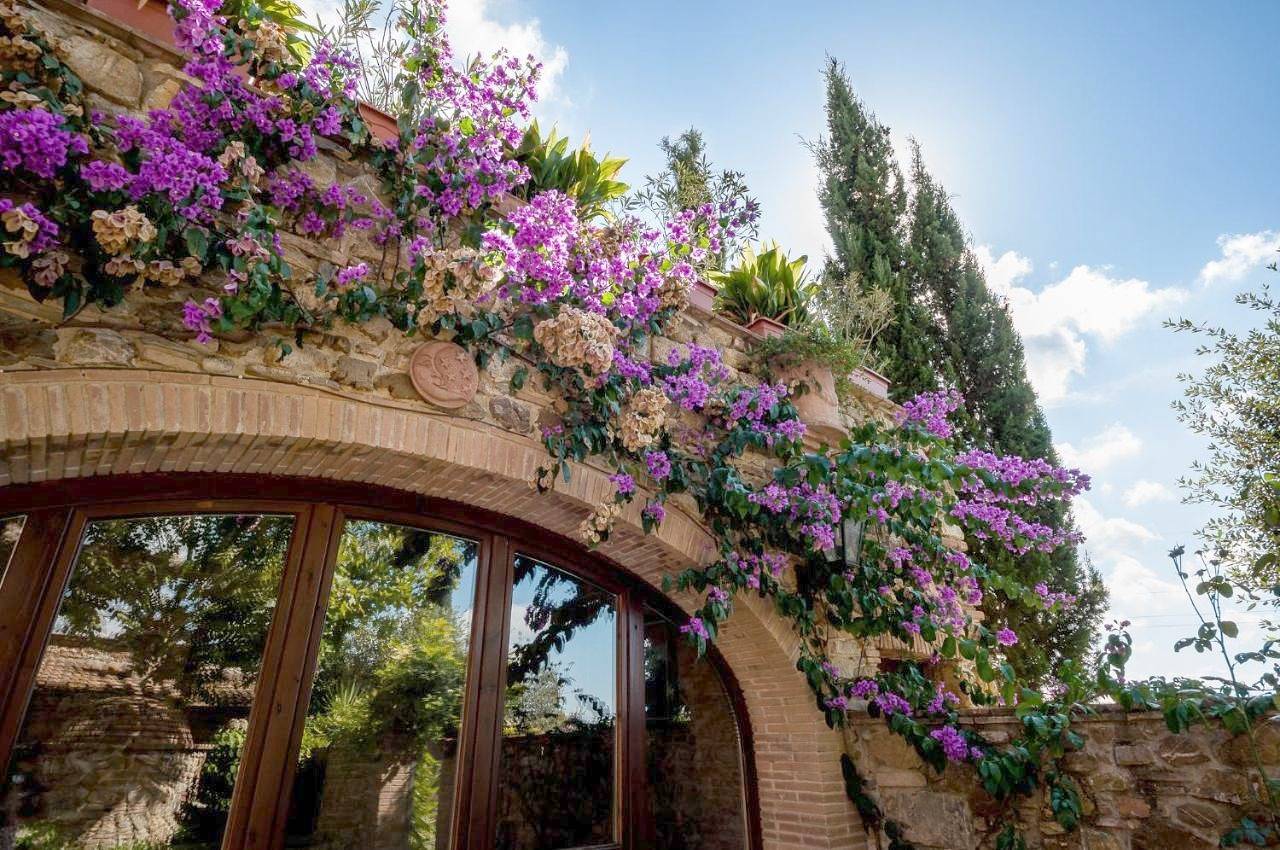 Appartamento intero, Agriturismo La Fonte Di Vivalda in Suvereto, Costa degli Etruschi