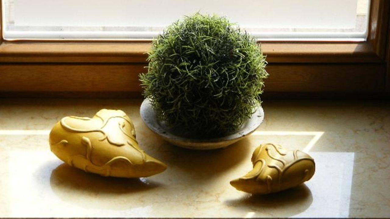 Ganze Ferienwohnung, Ferienwohnung für 4 Personen (35 m²) in Halle (Nordrhein-Westfalen) in Halle (Westfalen), Nordrhein-Westfalen