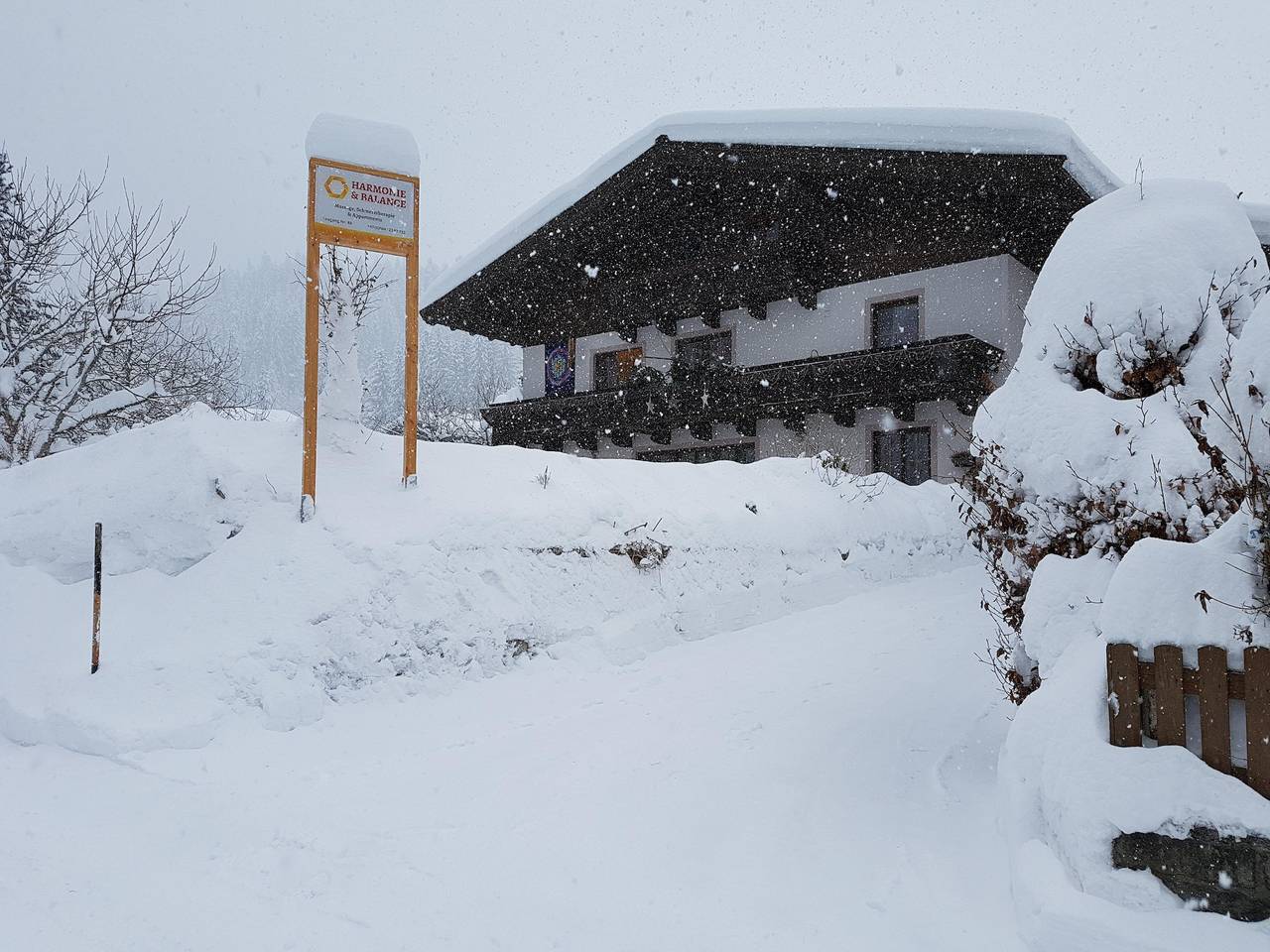Ganze Ferienwohnung, Appartement Harmonie, Terrasse und Schwimmteich in Leogang, Saalbach-Hinterglemm