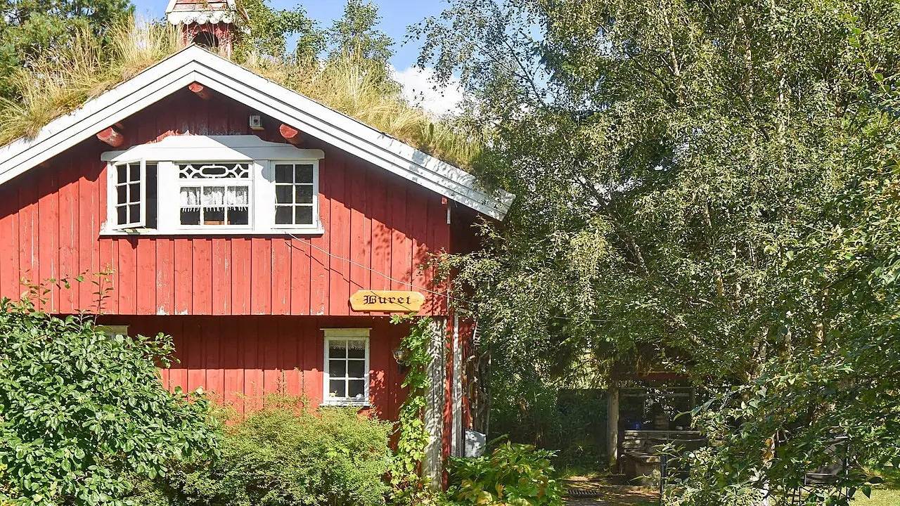 Ferienhaus für 3 Personen (78 m²) in Bøfjorden in Surnadal, Nördliches Fjordnorwegen