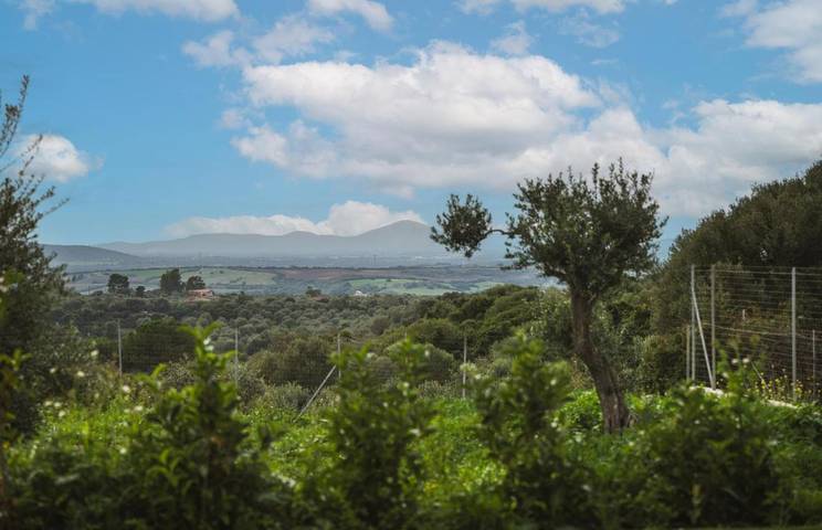 Gîte pour 3 personnes, avec vue ainsi que jardin et piscine à Sassari - 4