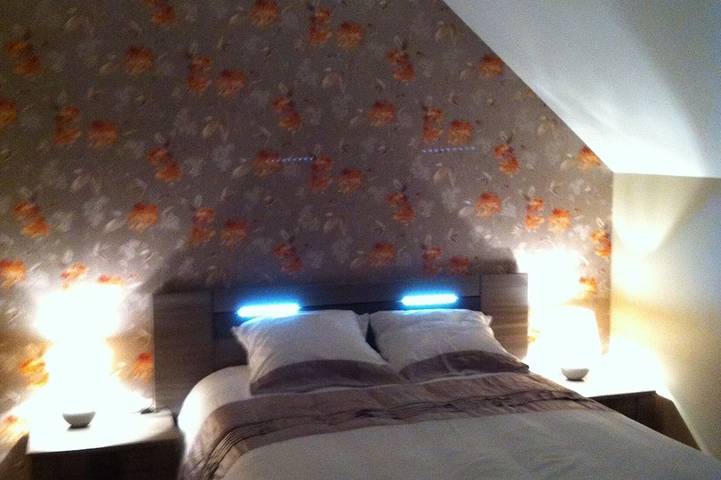 Gîte pour 6 personnes, avec terrasse et jardin à Lailly-en-Val - 3