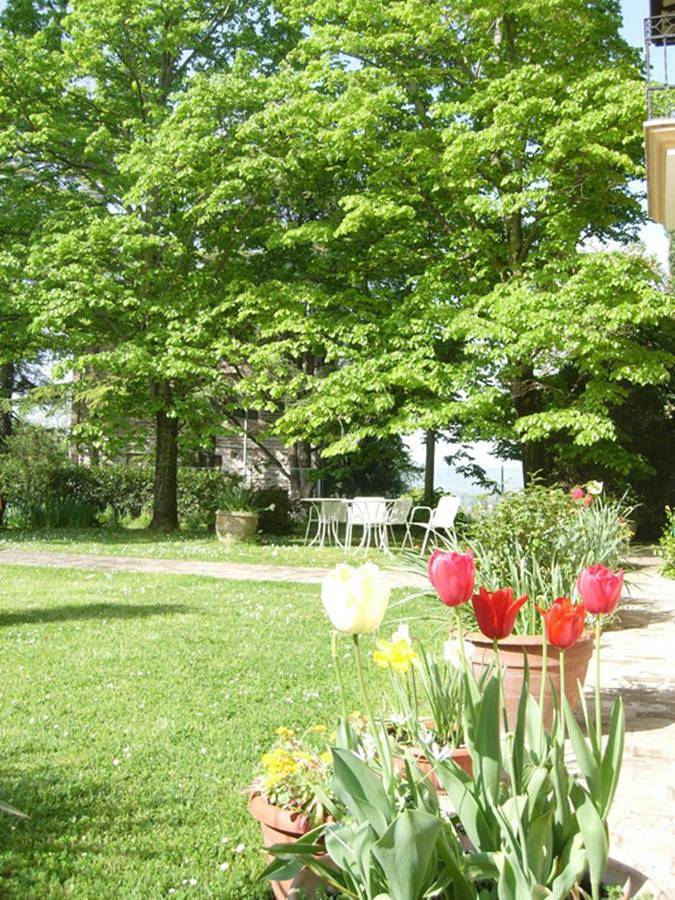 Maison d’hôte pour 3 personnes, avec vue et jardin à Assise - 3