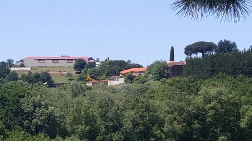 Casa de huéspuedes para 6 personas, con jardín y vistas, Se admiten mascotas en Monforte de Lemos