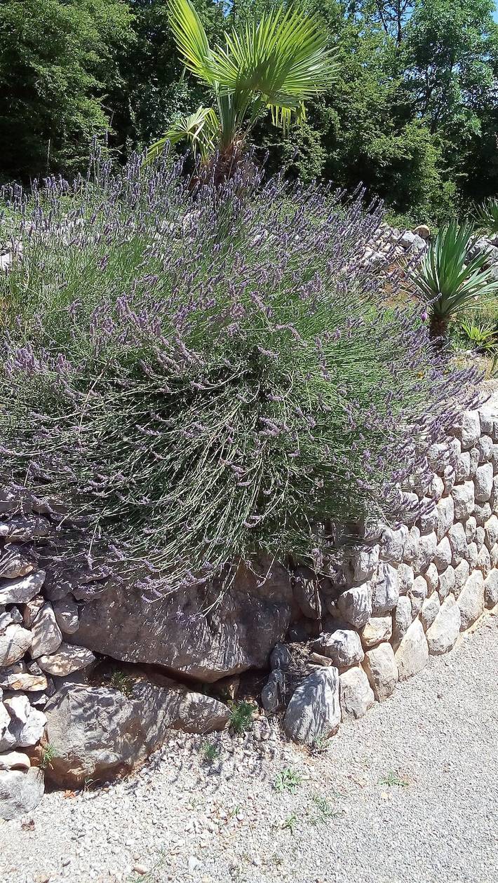 Ferienwohnung für 4 Personen in Opatija Riviera - 3