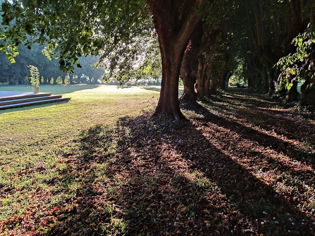 Chambre d'hôtes Sixties - Chambre in Lingèvres, Région de Bayeux