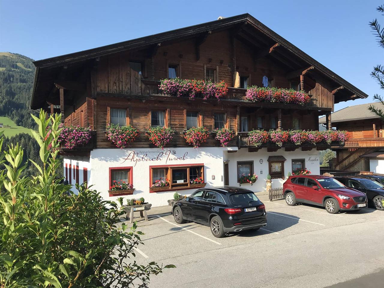 Geheel vakantieappartement, Appartement Alpinjuwel in Alpbach, Kaisergebirge