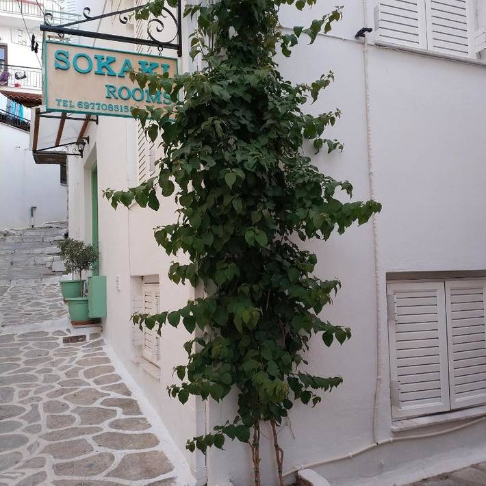 Maison d’hôte pour 2 personnes dans Skiathos - 4