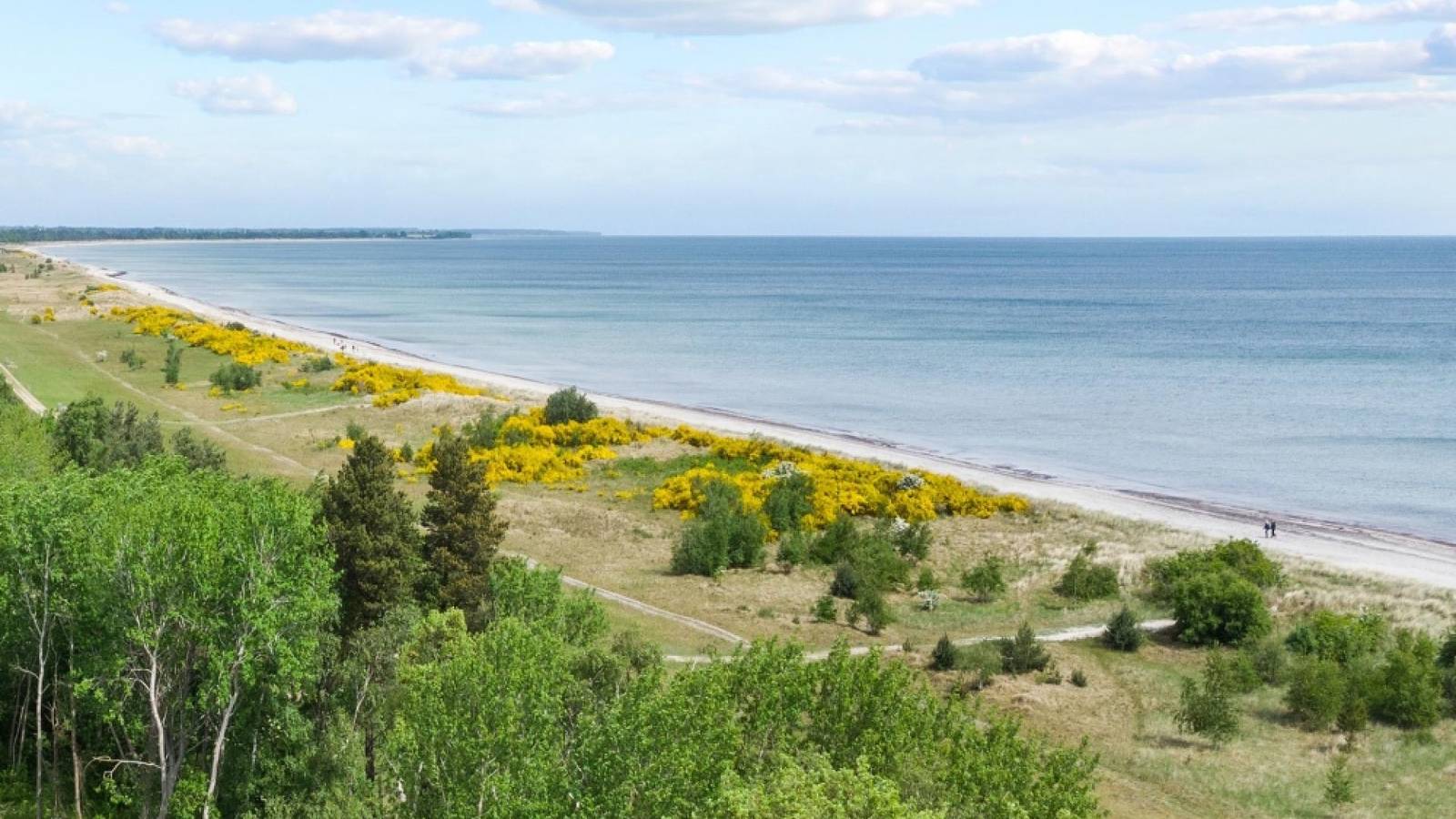 Ferienhaus 509 am Strand und mit 6 Schlafzimmern. in Væggerløse, Schwedische Ostsee