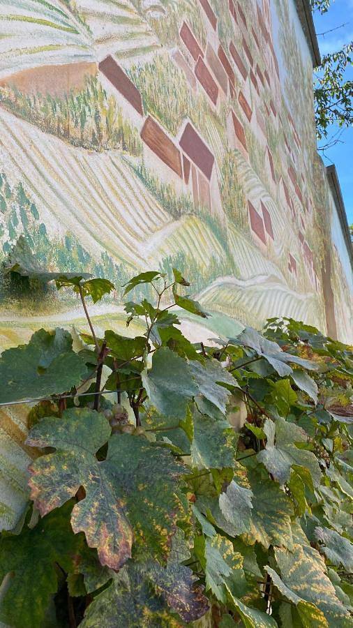 Domaine du Cellier de la Couronne in Sézanne, Marne
