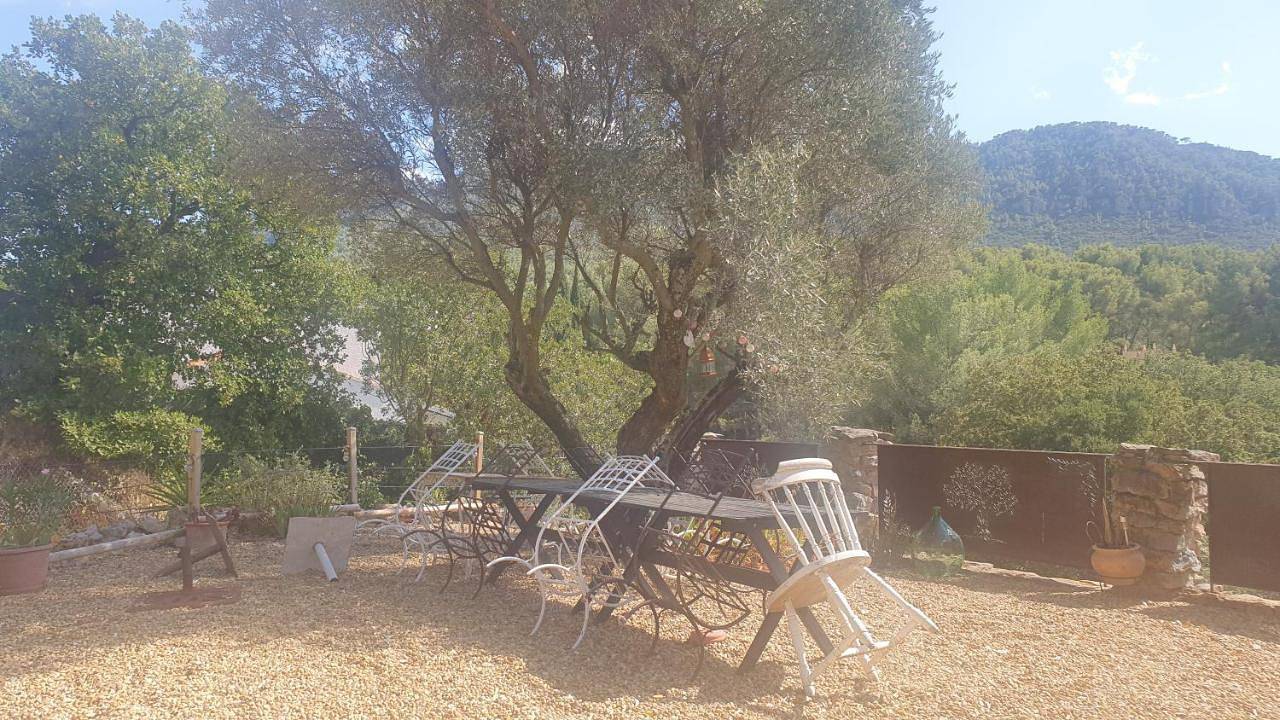 Appartement de vacances entier, Double Room in Le Revest-les-Eaux, Côte méditerranéenne (France)