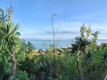 Villa for 6 People in L'Herbe, Lège-Cap-Ferret, Photo 2