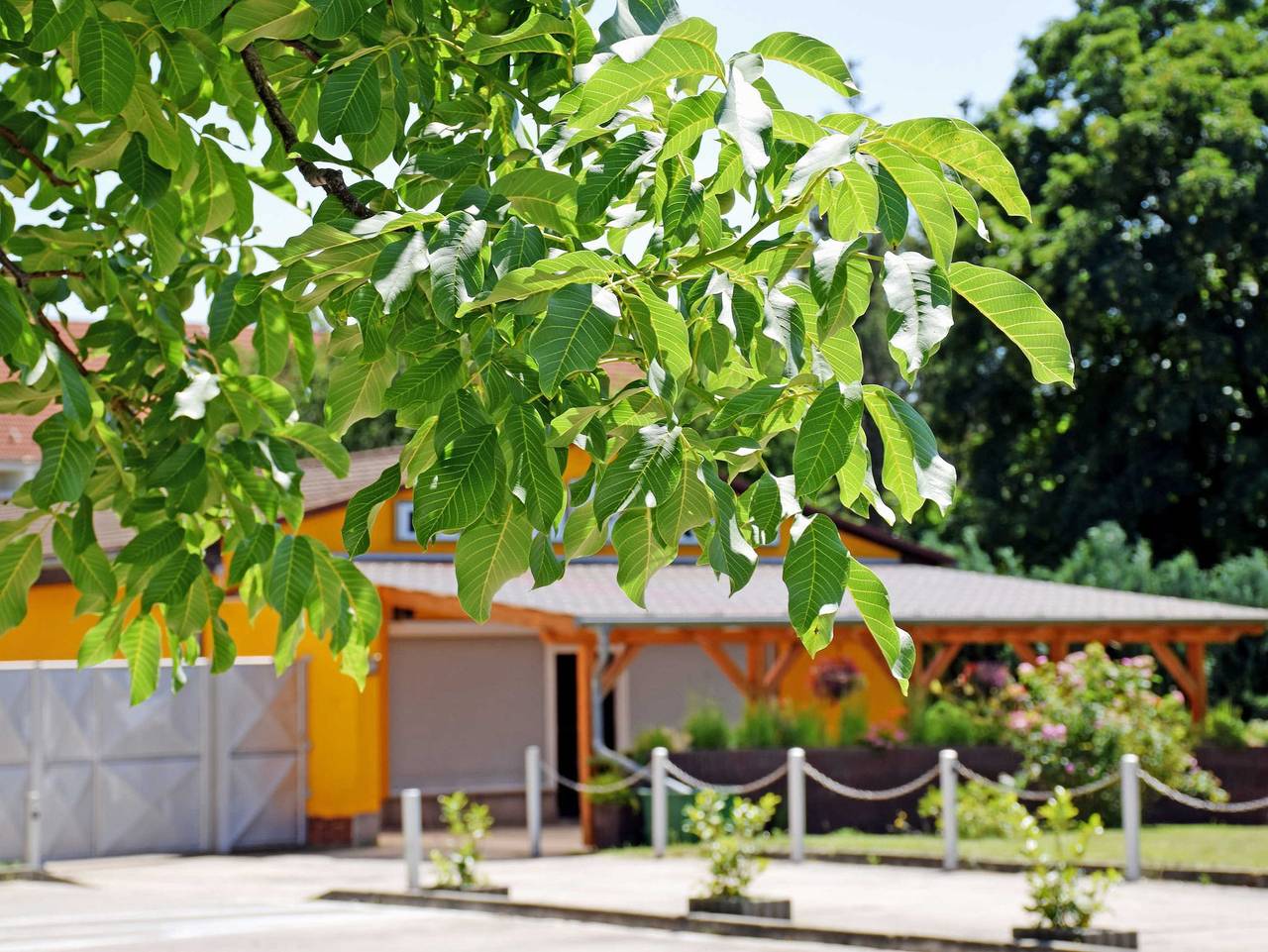 Ganze Ferienwohnung, Deb 038 Ferienwohnung/-zimmer Aschersleben in Aschersleben, Region Salzlandkreis