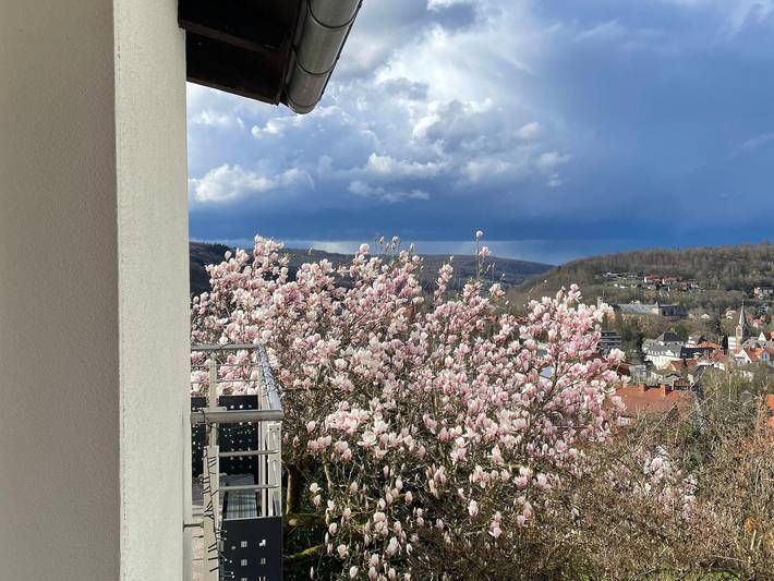 Ferienhaus für 4 Personen, mit Balkon und Terrasse sowie Garten und Ausblick in Werratal - 3