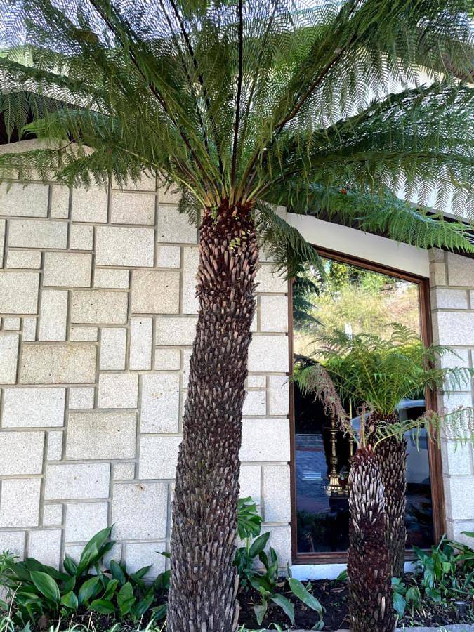 Single Room with Private Bathroom in Distrito de Aveiro