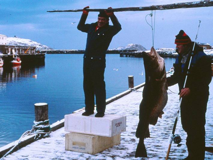 Ferienhaus für 7 Personen, mit Garten, kinderfreundlich in Finnmark - 3