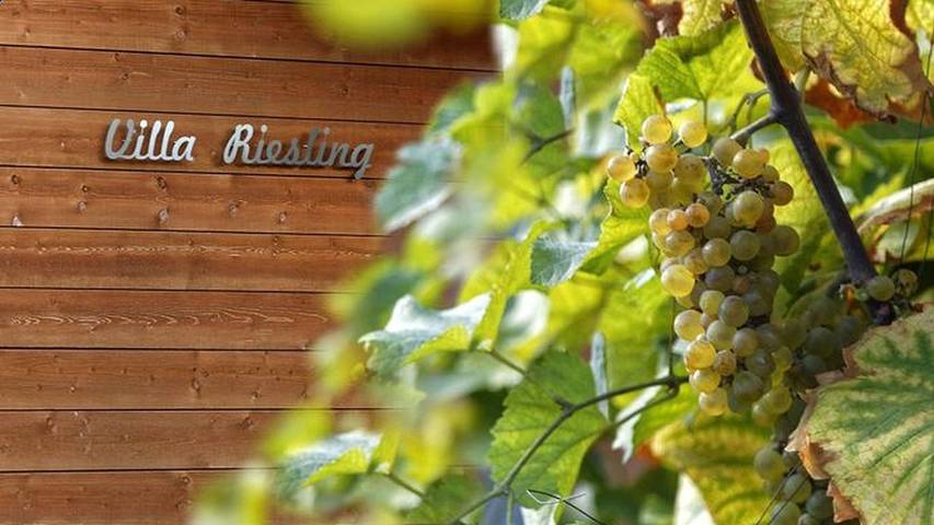 Ferienhaus für 8 Personen, mit Sauna und Garten sowie Terrasse, mit Haustier in Zempin - 2