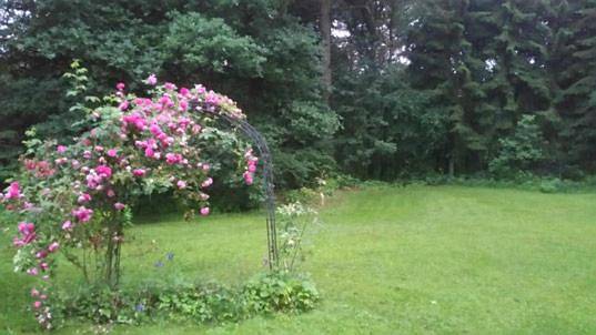 Ferienhaus für 3 Personen, mit Ausblick und Garten sowie Pool in Buchholz in der Nordheide - 2