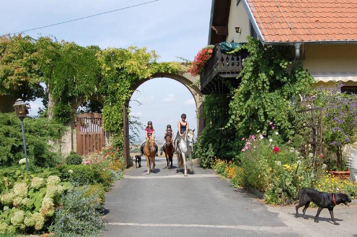 Ganze Ferienwohnung, Ferienwohnungen "Lindleshof" - Ferienwohnung Minze, 45m² in Sulzfeld, Rhön-Bayern