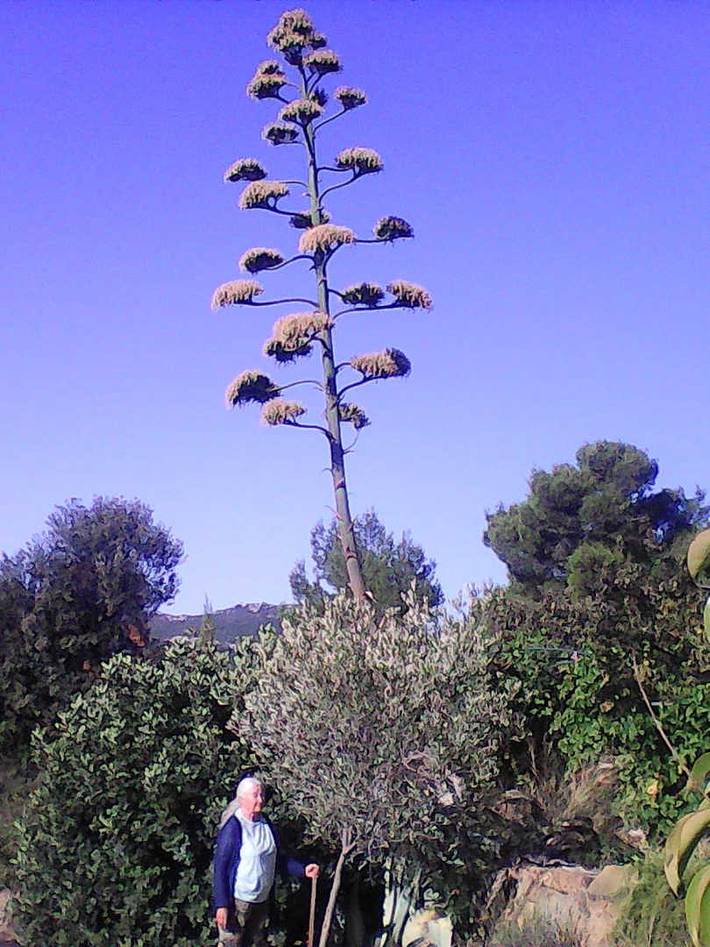 Gîte für 2 Personen, mit Pool und Sauna sowie Garten und Terrasse in Aude - 2