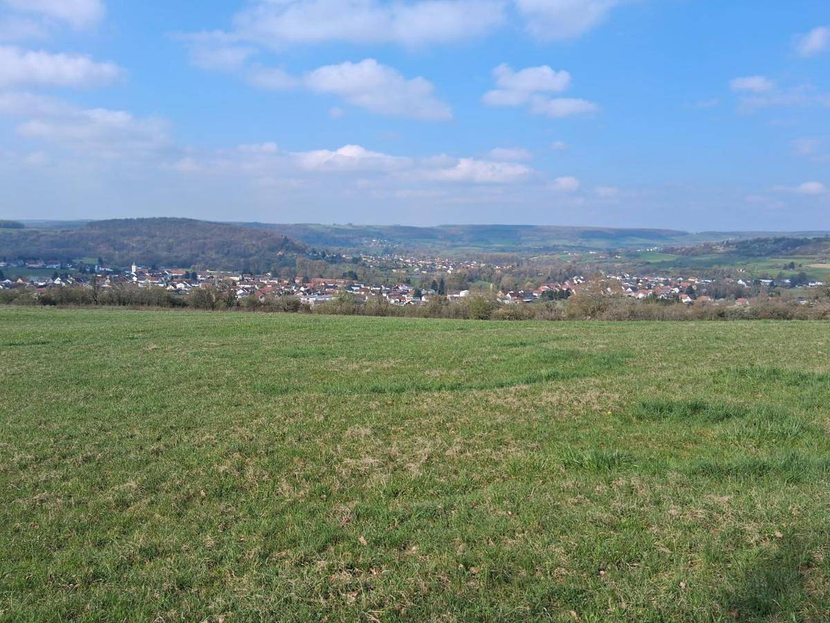 Ganze Wohnung, Apartment in Bliesmengen-Bolchen, Mandelbachtal