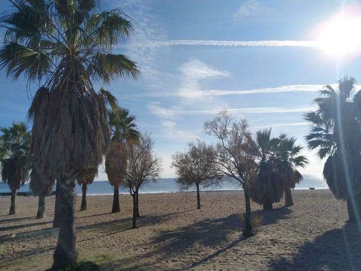 Gîte pour 6 personnes, avec piscine, animaux acceptés dans Plage du Port Fréjus - 2