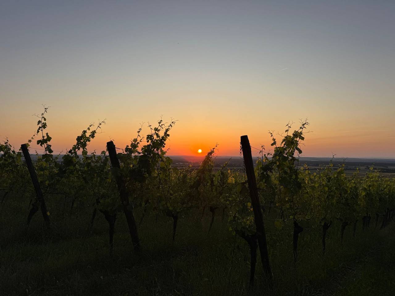Ganze Wohnung, Panorama 180° in Kitzingen, Fränkisches Weinland