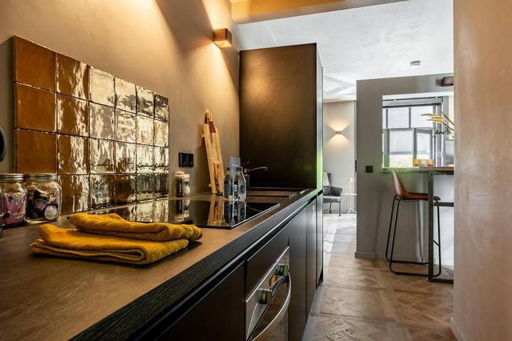 Gîte pour 2 personnes, avec balcon et sauna à Gouda - 4