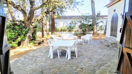 Ferienhaus für 6 Personen in l'Escala, Girona Provinz, Bild 3