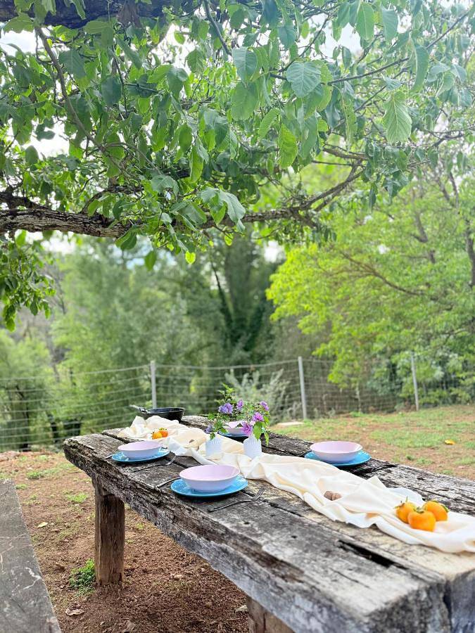 Casa rural para 10 personas, con piscina además de jardín y vistas, Se admiten mascotas en Constantina - 3