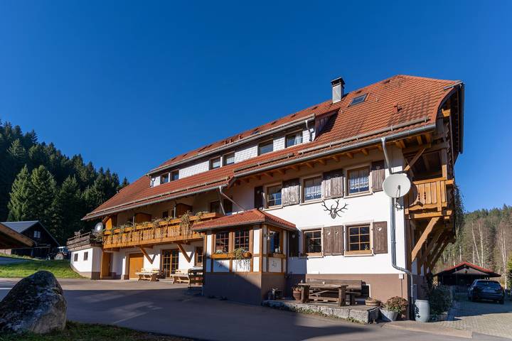 Finkenhof - Zimmer Zauberwald in Blasiwald (Schluchsee), Schluchsee
