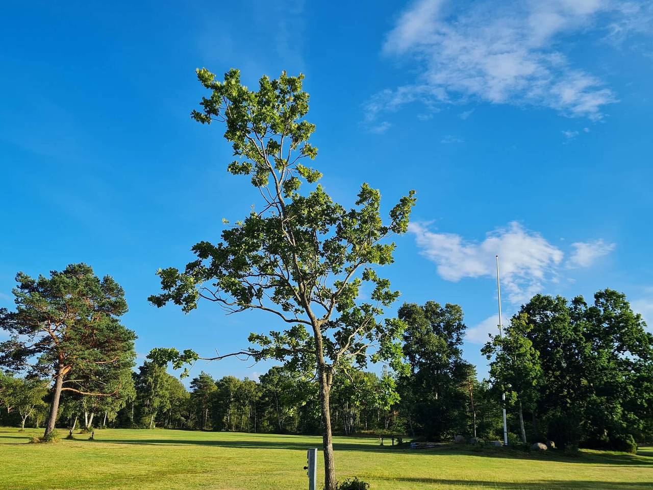 8 Personen Ferienhaus in Hadsund-By Traum in Als Odde, Helberskov