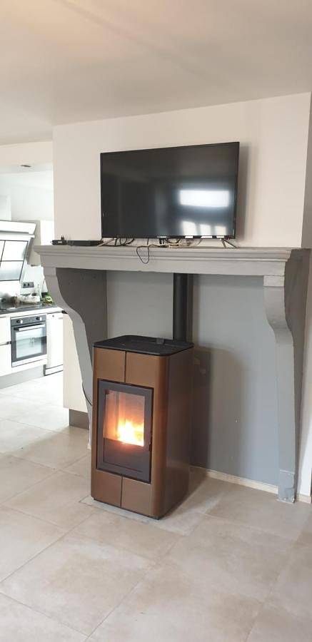 Location de vacances pour 10 personnes, avec jardin dans Lac d'Amance - 3