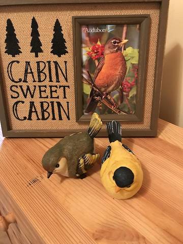 Log Cabin for 2 Guests in Hudson Valley, Windham Mountain, Picture 2