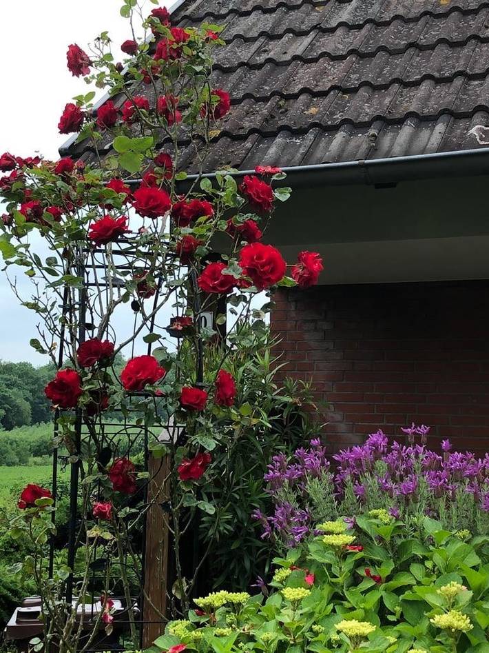 Ferienwohnung für 2 Personen, mit Garten, kinderfreundlich - 1