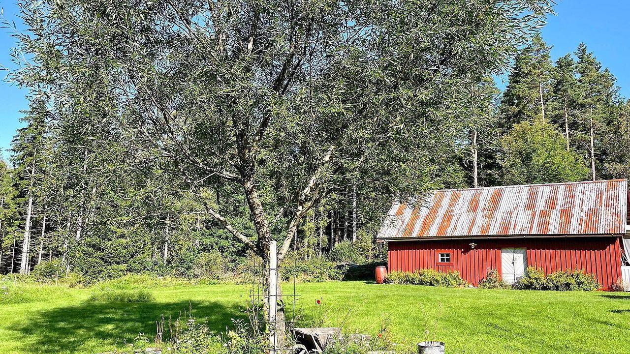Ferienhaus für 5 Personen (80 m²) in Svenljunga in Svenljunga, Västergötland