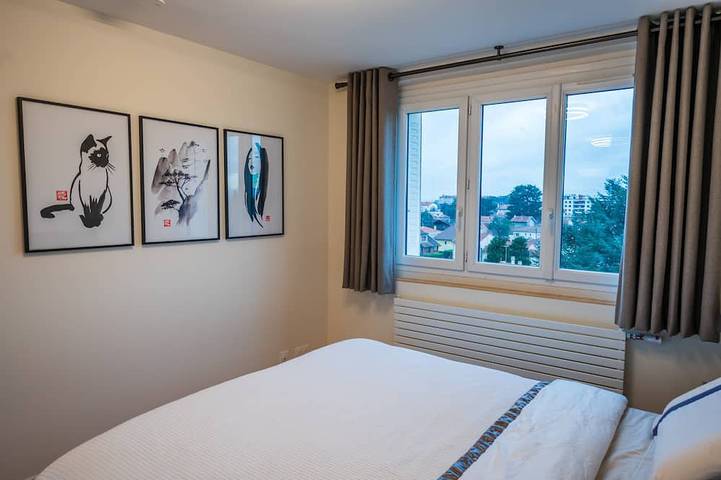 Gîte pour 4 personnes, avec balcon et jacuzzi à Bron - 4