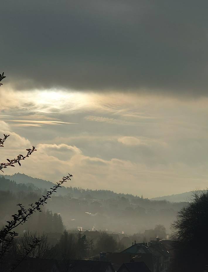 Ferienhaus für 4 Personen, mit Terrasse und Garten im Dahner Felsenland - 3