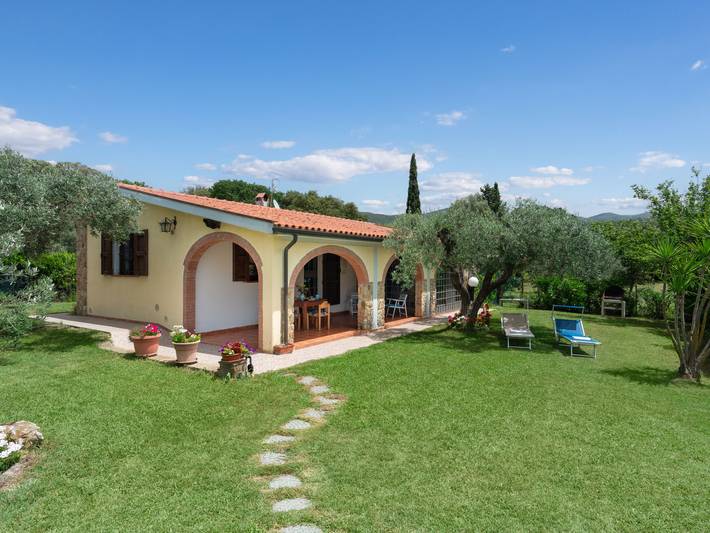 Bouganville in Bibbona, Costa degli Etruschi