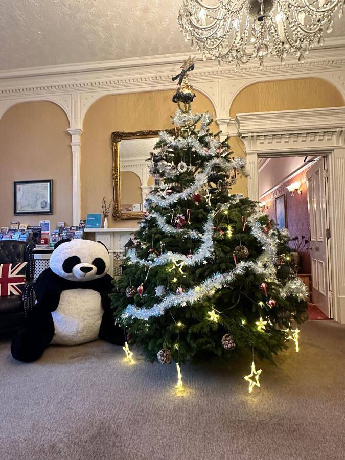 Chambre d’hôte pour 4 personnes, avec jardin à Torquay - 2